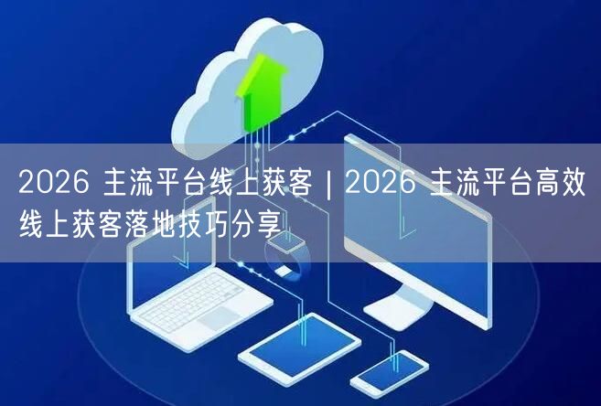 2026 主流平台线上获客｜2026 主流平台高效线上获客落地技巧分享